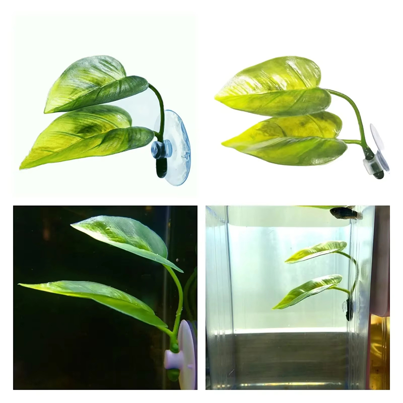 Akcesoria do akwariów, dekorac – Aquarium Fish Betta recenzja i cena