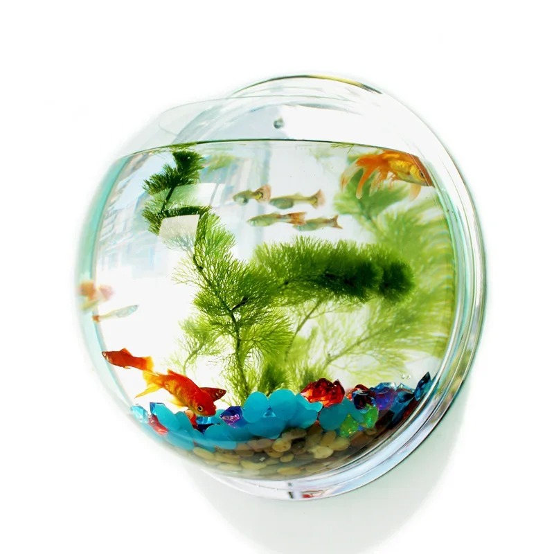 Pinsjar Akrylowa miska na ryby – Aquarium Fish Betta recenzja i cena