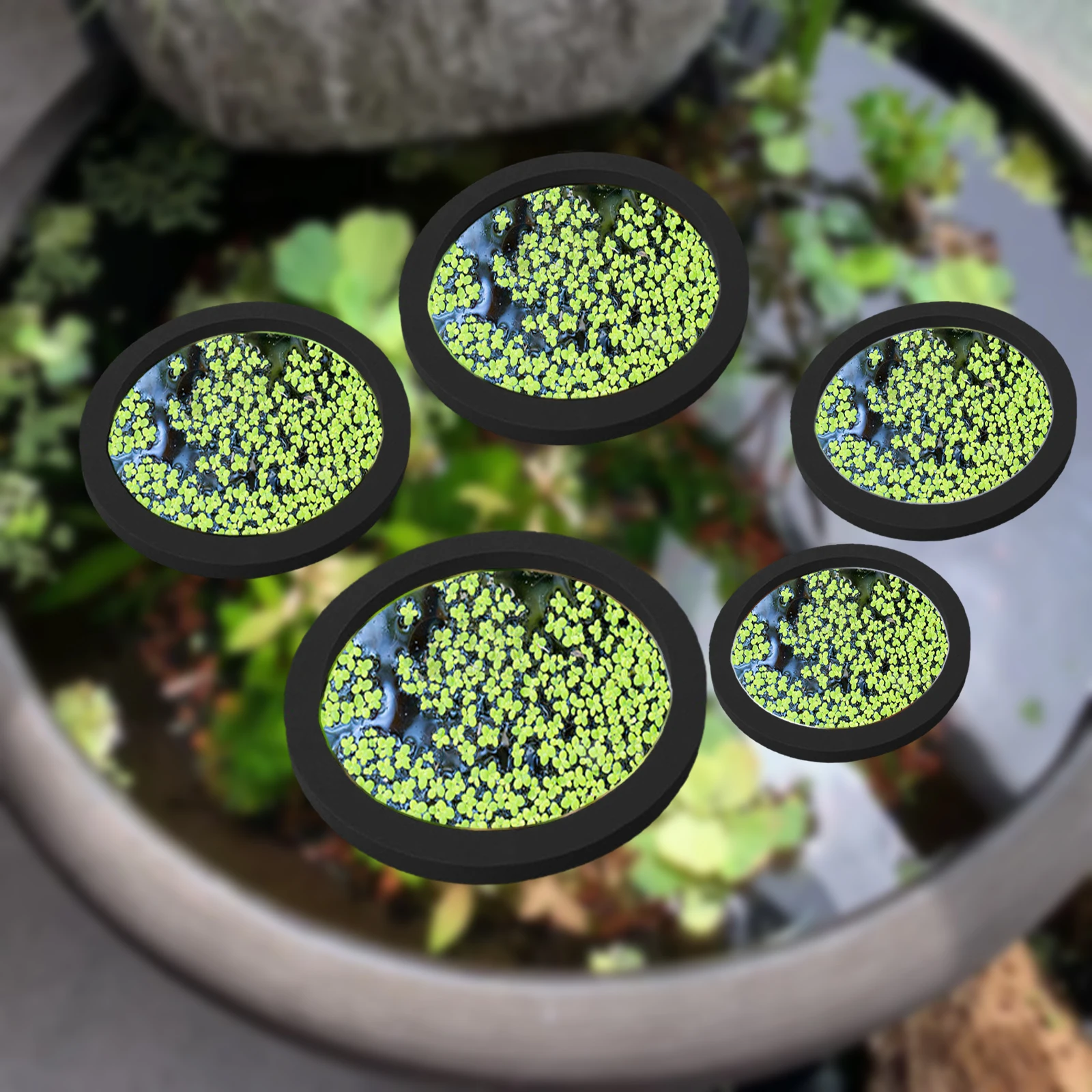 5Pcs EVA Pierścień do karmieni – Aquarium Fish Tank recenzja i cena