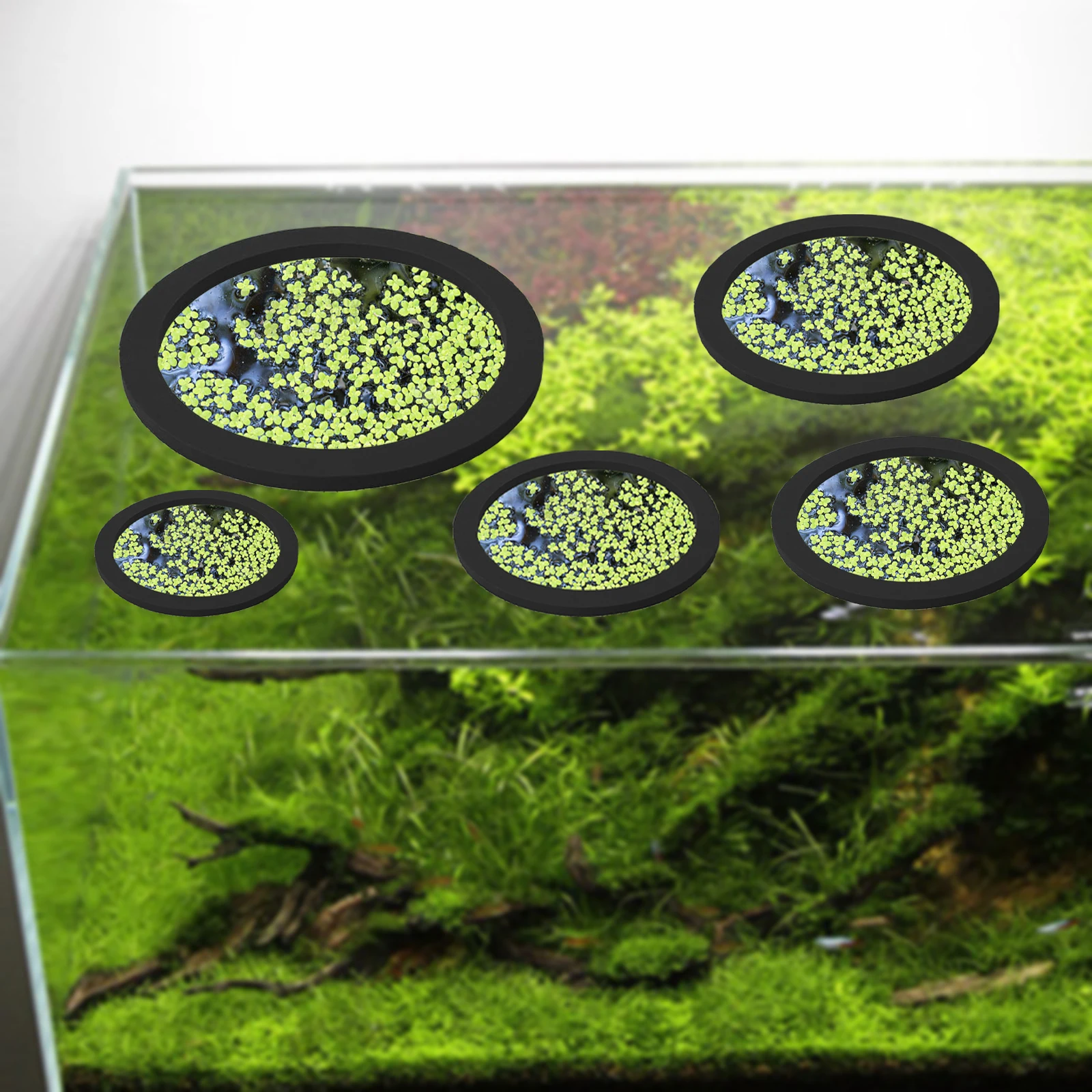 5Pcs EVA Pierścień do karmieni – Aquarium Fish Tank recenzja i cena