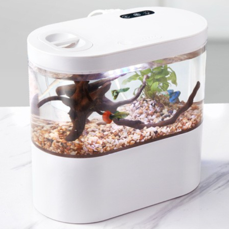 Kreatywne mini akwarium biurko – Aquarium Fish Betta recenzja i cena