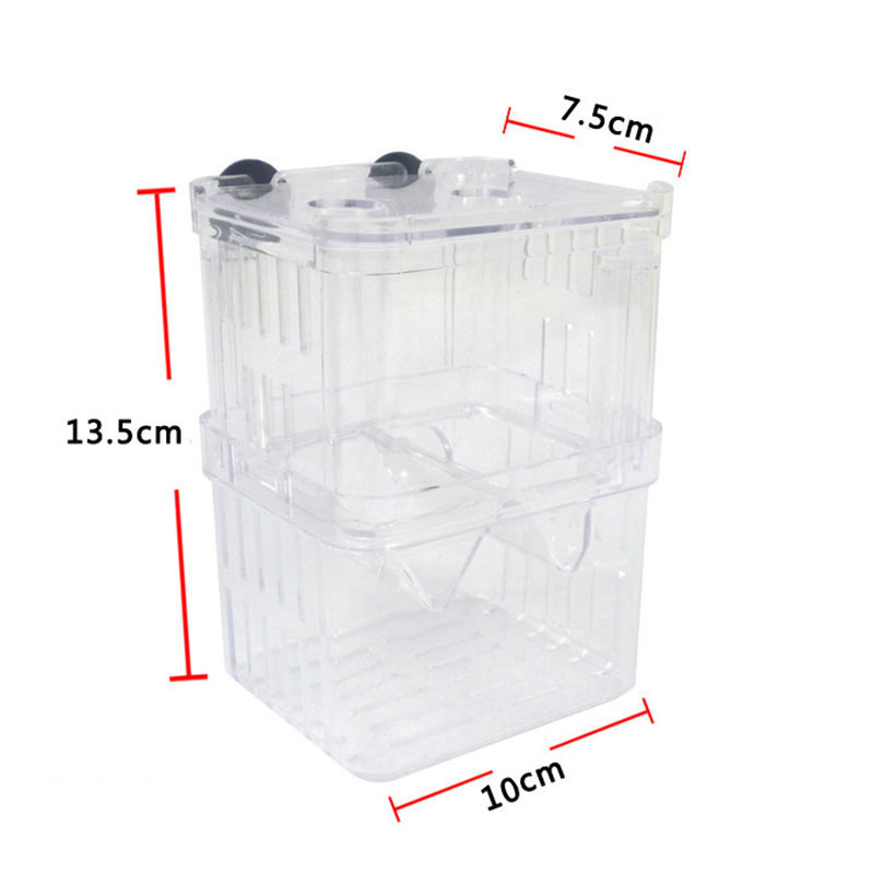 Pudełko izolacyjne do hodowli  – Aquarium Fish Betta recenzja i cena